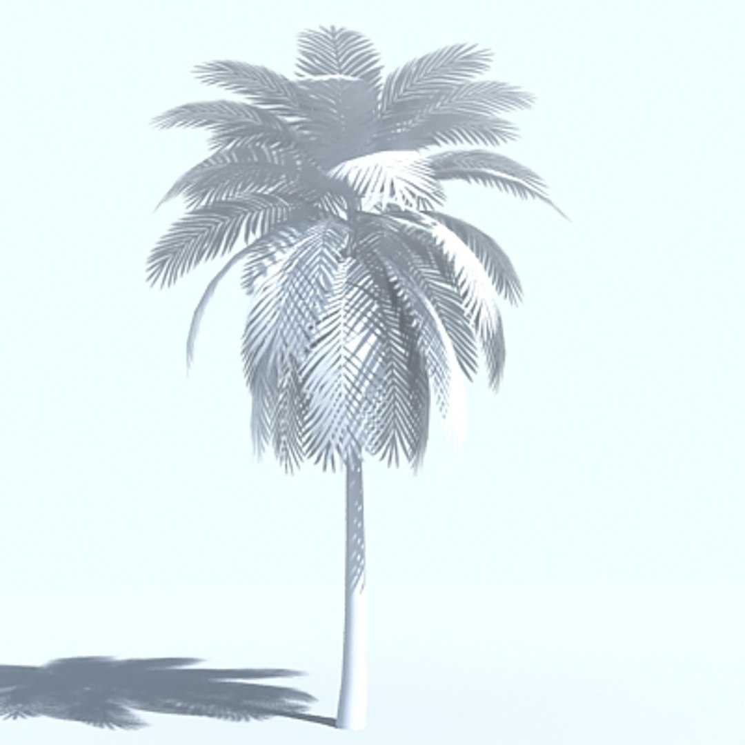 palm tree max