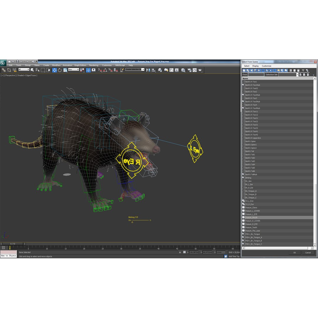 possum fur rigged 3d max https://p.turbosquid.com/ts-thumb/aW/uDHVnF/4ON4XbgR/possumvrayfurrigged_245/jpg/1414161812/1920x1080/fit_q87/4d1a827b92a841ff530415d28ae4a487aa9330a8/possumvrayfurrigged_245.jpg