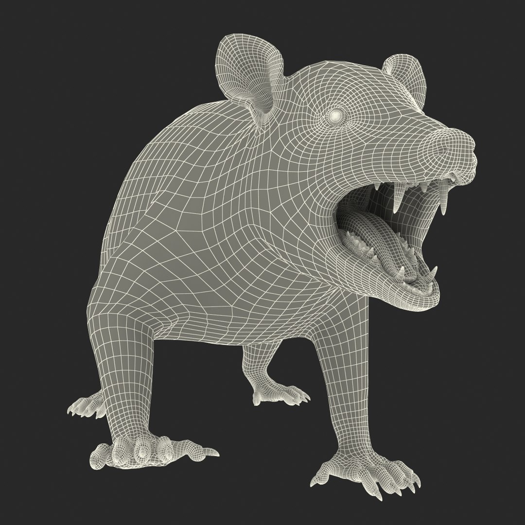 possum fur rigged 3d max https://p.turbosquid.com/ts-thumb/aW/uDHVnF/JEow44ow/possumvrayfurrigged_237/jpg/1414161802/1920x1080/fit_q87/046ca30cda2cd1cd2709efe33d6bfe1143c78d18/possumvrayfurrigged_237.jpg