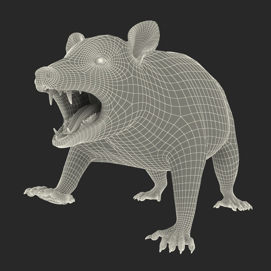 possum fur rigged 3d max https://p.turbosquid.com/ts-thumb/aW/uDHVnF/OMjSUKu6/possumvrayfurrigged_238/jpg/1414161804/1920x1080/fit_q87/638bdba45912eeb5db35ce5721767a13fef20a7b/possumvrayfurrigged_238.jpg