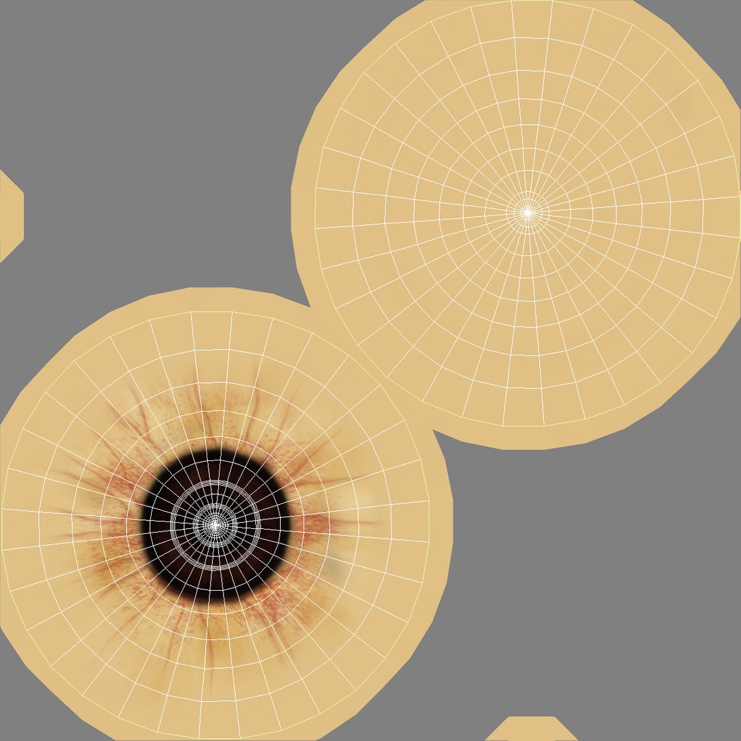 possum fur rigged 3d max https://p.turbosquid.com/ts-thumb/aW/uDHVnF/SSv8oSdM/possumvrayfurrigged_244/jpg/1414161746/1920x1080/fit_q87/71a0d3236c895f05bdca79e747d0a014eb8184b1/possumvrayfurrigged_244.jpg