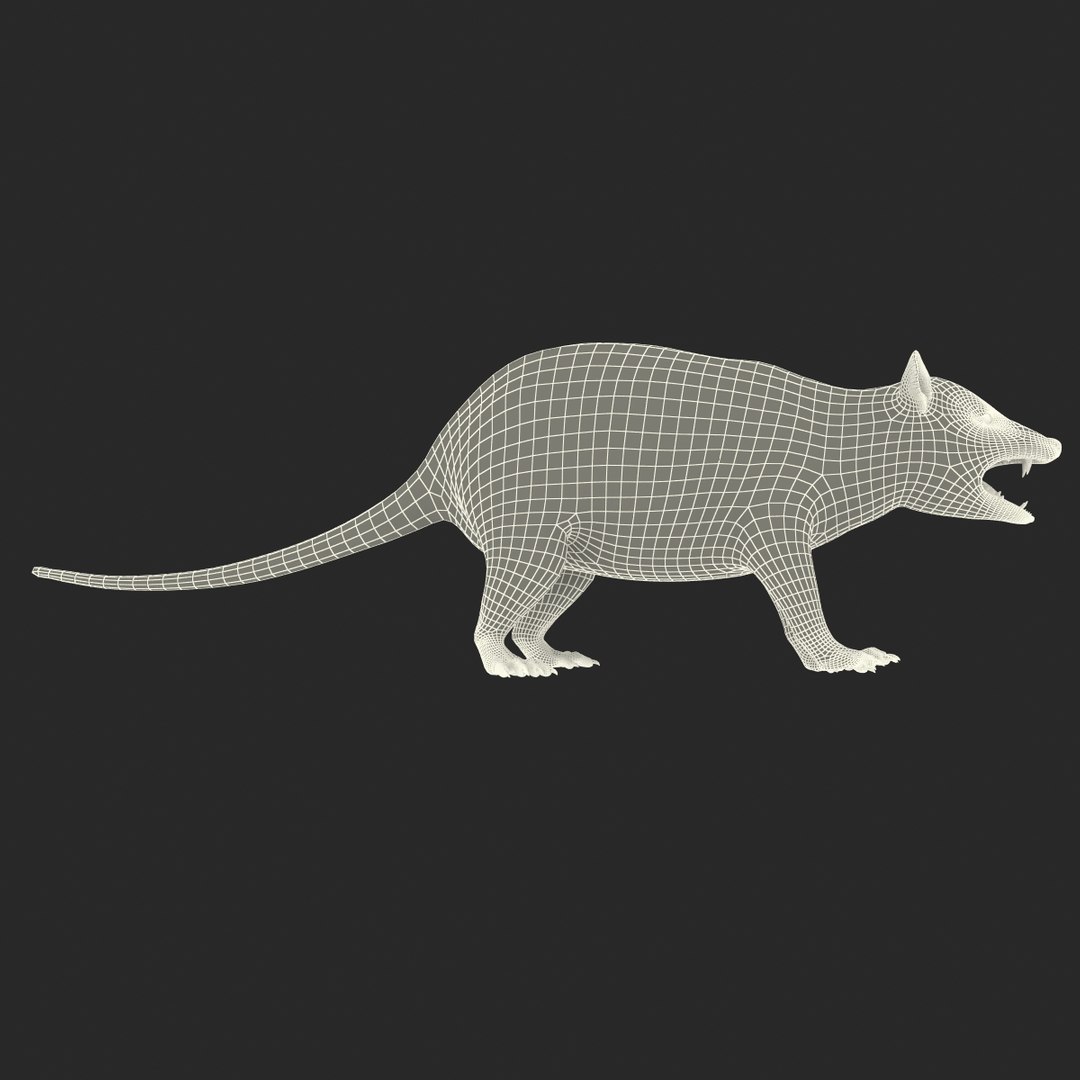 possum fur rigged 3d max https://p.turbosquid.com/ts-thumb/aW/uDHVnF/VSXC0eQ3/possumvrayfurrigged_236/jpg/1414161792/1920x1080/fit_q87/b200cc09f886ed6c3963dabc4debede4af179fd8/possumvrayfurrigged_236.jpg