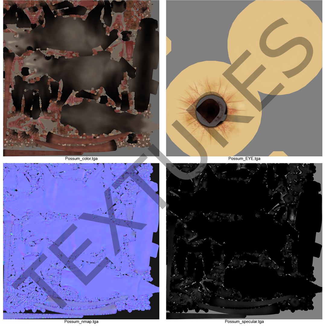 possum fur rigged 3d max https://p.turbosquid.com/ts-thumb/aW/uDHVnF/qYCXsPXL/possumvrayfurrigged_242/jpg/1414161741/1920x1080/fit_q87/680cb0b3879243528dc9aeb4a36d3b2cae5ca30f/possumvrayfurrigged_242.jpg