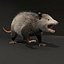 Possum Fur Rigged