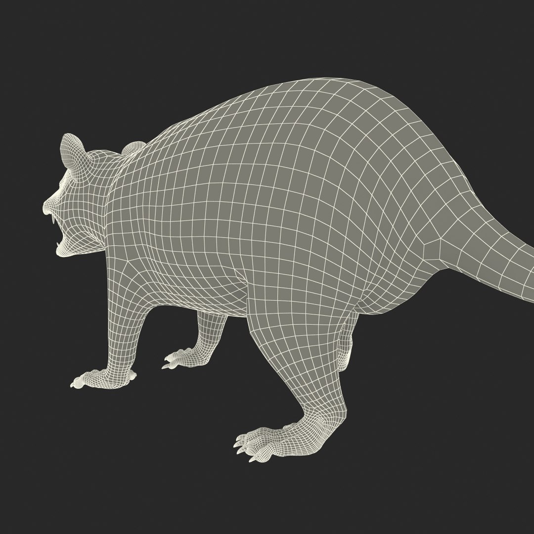 possum fur rigged 3d max https://p.turbosquid.com/ts-thumb/aW/uDHVnF/yhDUHyav/possumvrayfurrigged_240/jpg/1414161800/1920x1080/fit_q87/4c865fb9afaddecbd78fbd75947d99d2fa17c26b/possumvrayfurrigged_240.jpg