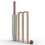 3d cricket generic