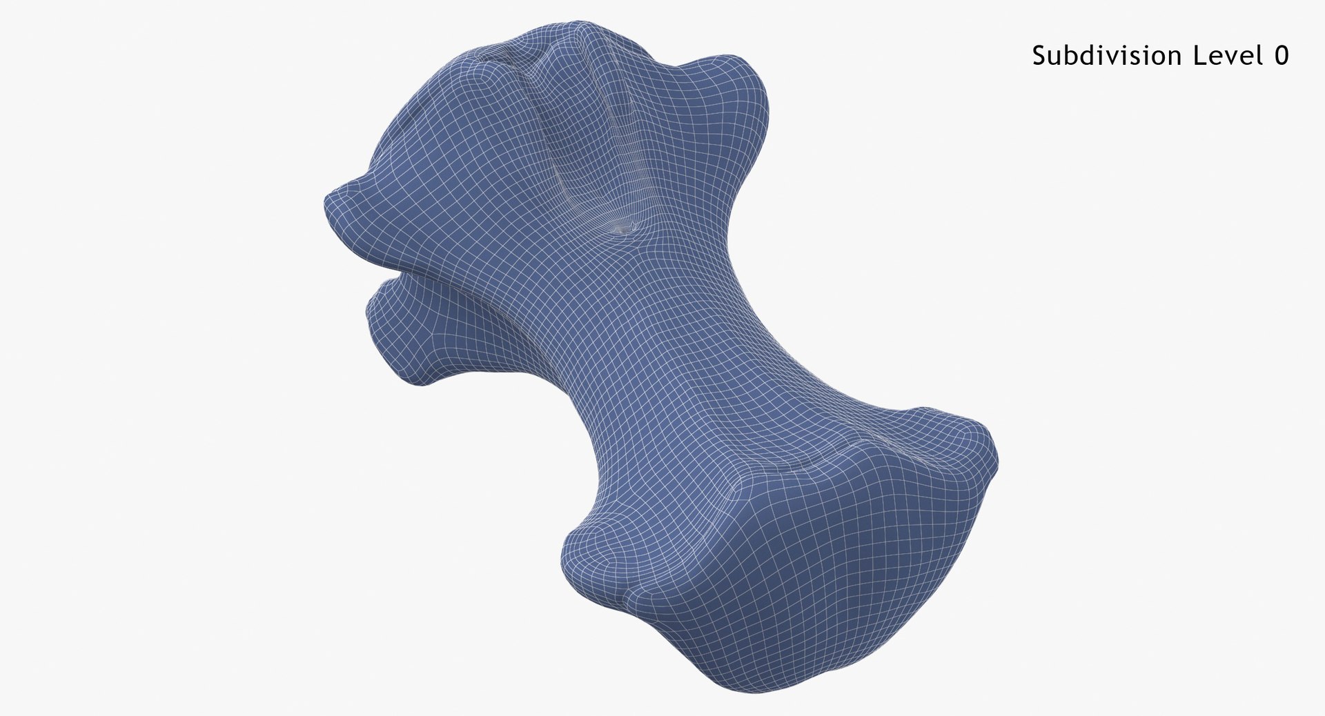 3D Kangaroo Red Necked Wallaby Caudal Vertebrae Cd3 https://p.turbosquid.com/ts-thumb/aX/1IgFPM/E5/kangaroo_red_necked_wallaby_caudal_vertebrae_cd3_subdiv0_0001/jpg/1683909212/1920x1080/fit_q87/f87344ed0b309acbedebcd7991f93e0d81f2ece1/kangaroo_red_necked_wallaby_caudal_vertebrae_cd3_subdiv0_0001.jpg