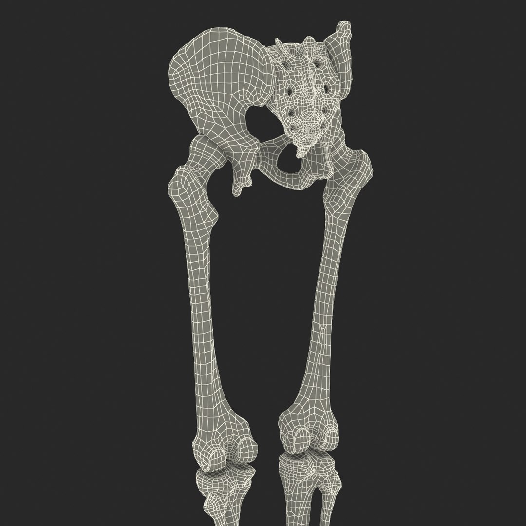 3ds human male lower body skeleton https://p.turbosquid.com/ts-thumb/aX/2V4Qf0/Qmu7S5zL/humanmalelowerbodyskeleton3dmodel35/jpg/1459957672/1920x1080/fit_q87/93d55320da486a545384e38811fe2482d1191b39/humanmalelowerbodyskeleton3dmodel35.jpg