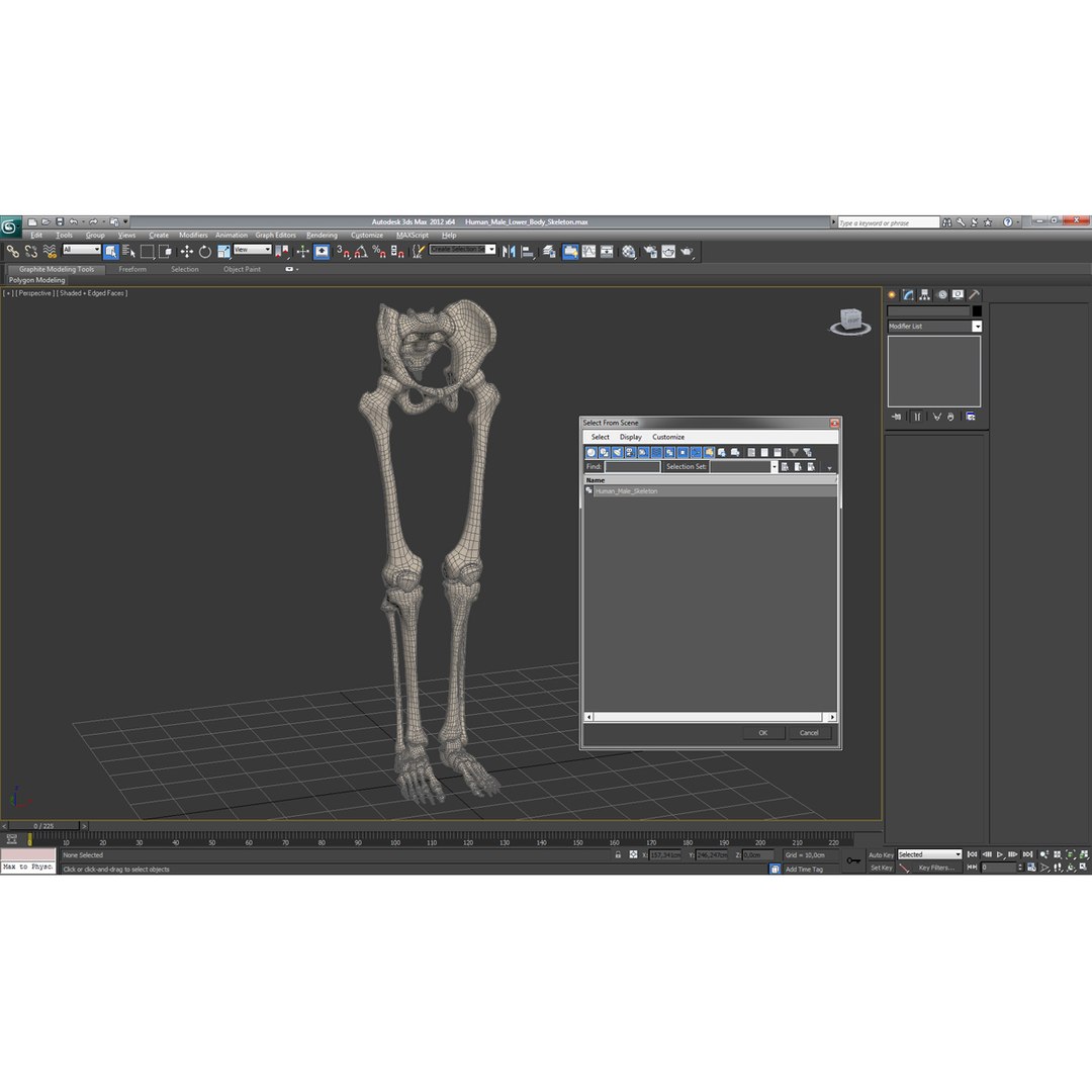 3ds human male lower body skeleton https://p.turbosquid.com/ts-thumb/aX/2V4Qf0/TCUIQcmG/humanmalelowerbodyskeleton3dmodel30/jpg/1459957671/1920x1080/fit_q87/ffc879528b2dc5fa36fff691bc21000fd7dc1f18/humanmalelowerbodyskeleton3dmodel30.jpg