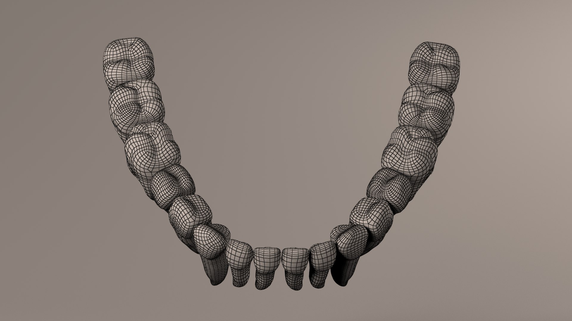 Lower Jaw with Lower Teeth model - TurboSquid 1909201