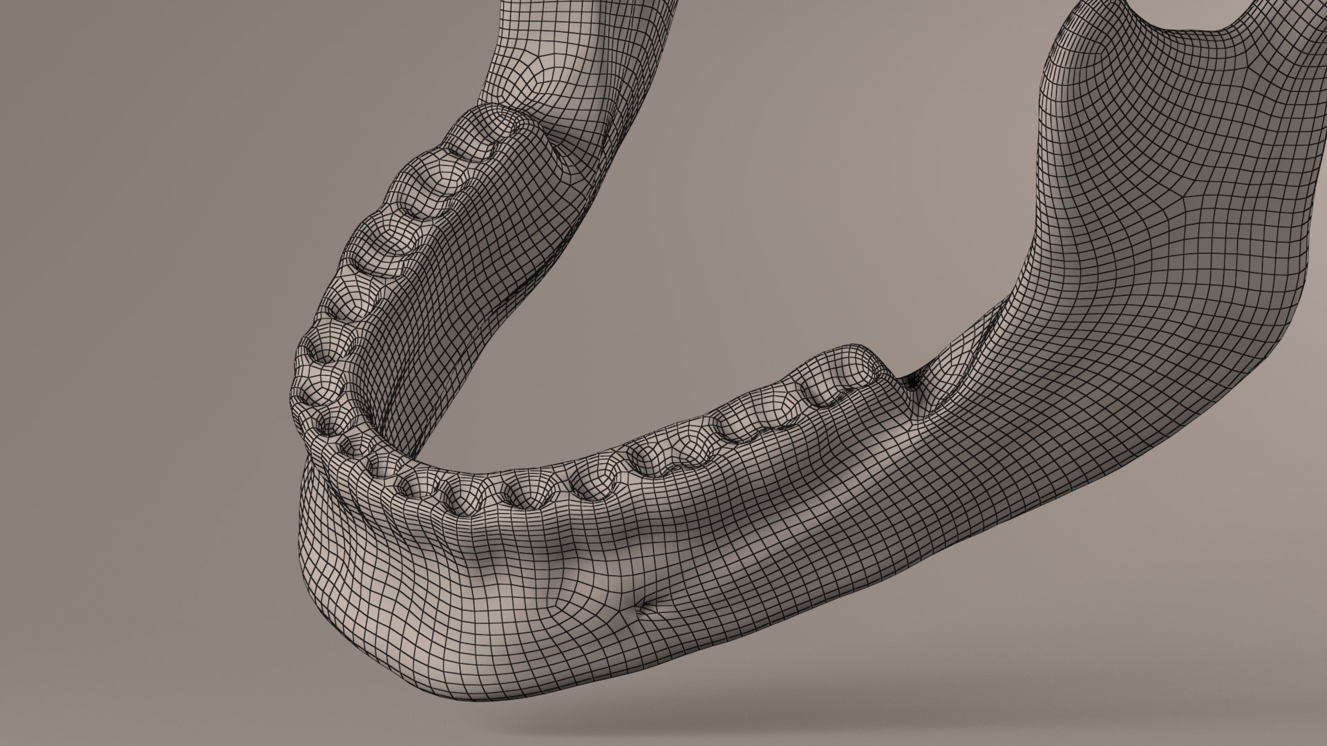 Lower Jaw With Lower Teeth Model - TurboSquid 1909201