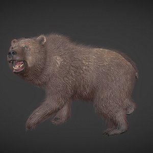 Realistic Bear Rigged And Animated Pack