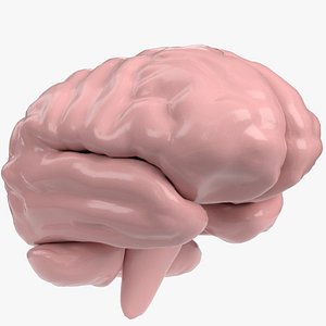 Stylized human brain