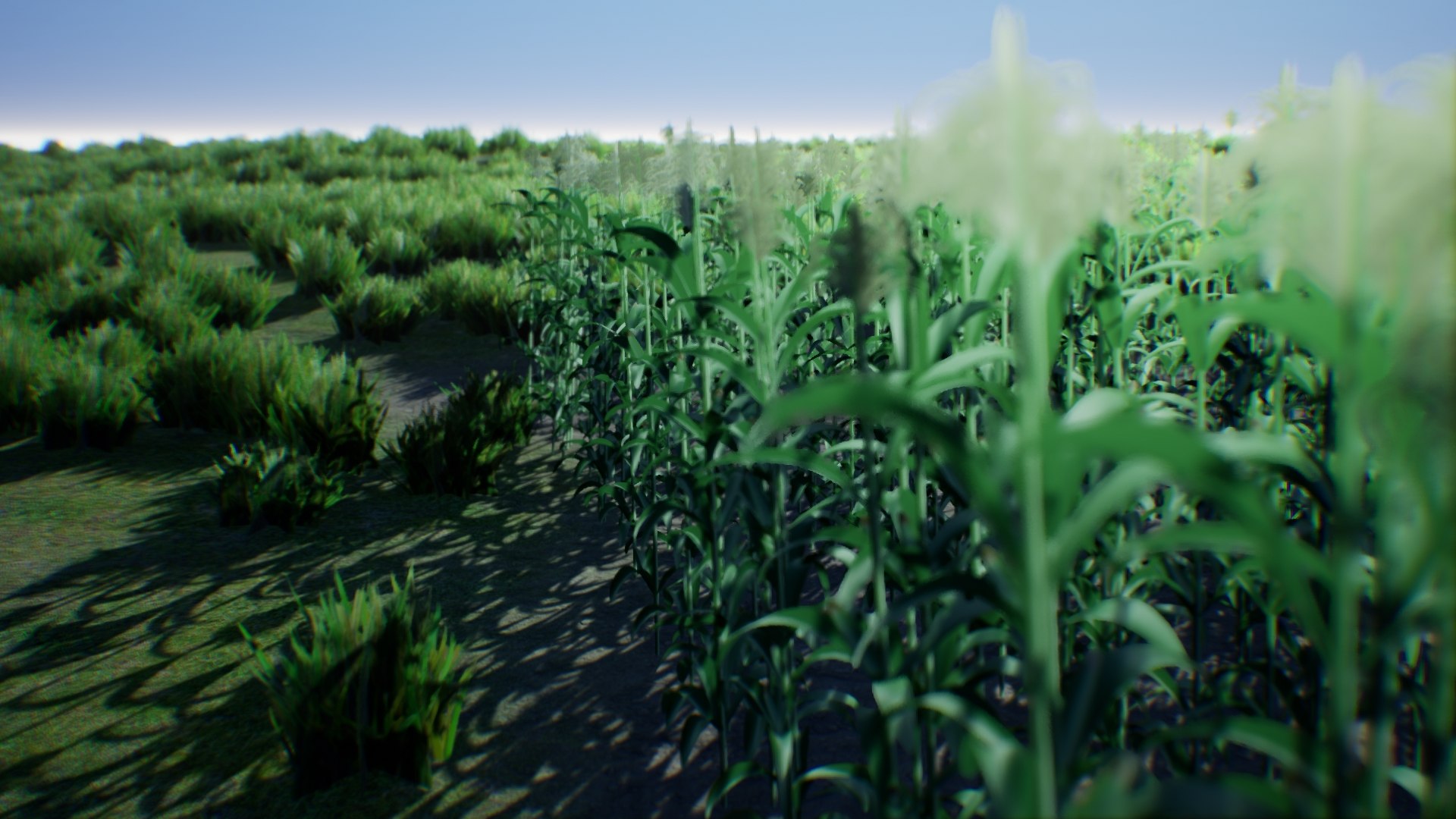 3D corn stalk https://p.turbosquid.com/ts-thumb/aX/VuGdBI/ekIHDYPY/002/jpg/1538434750/1920x1080/fit_q87/cb72149564b1654fd1e128747b596a38bbd672f7/002.jpg