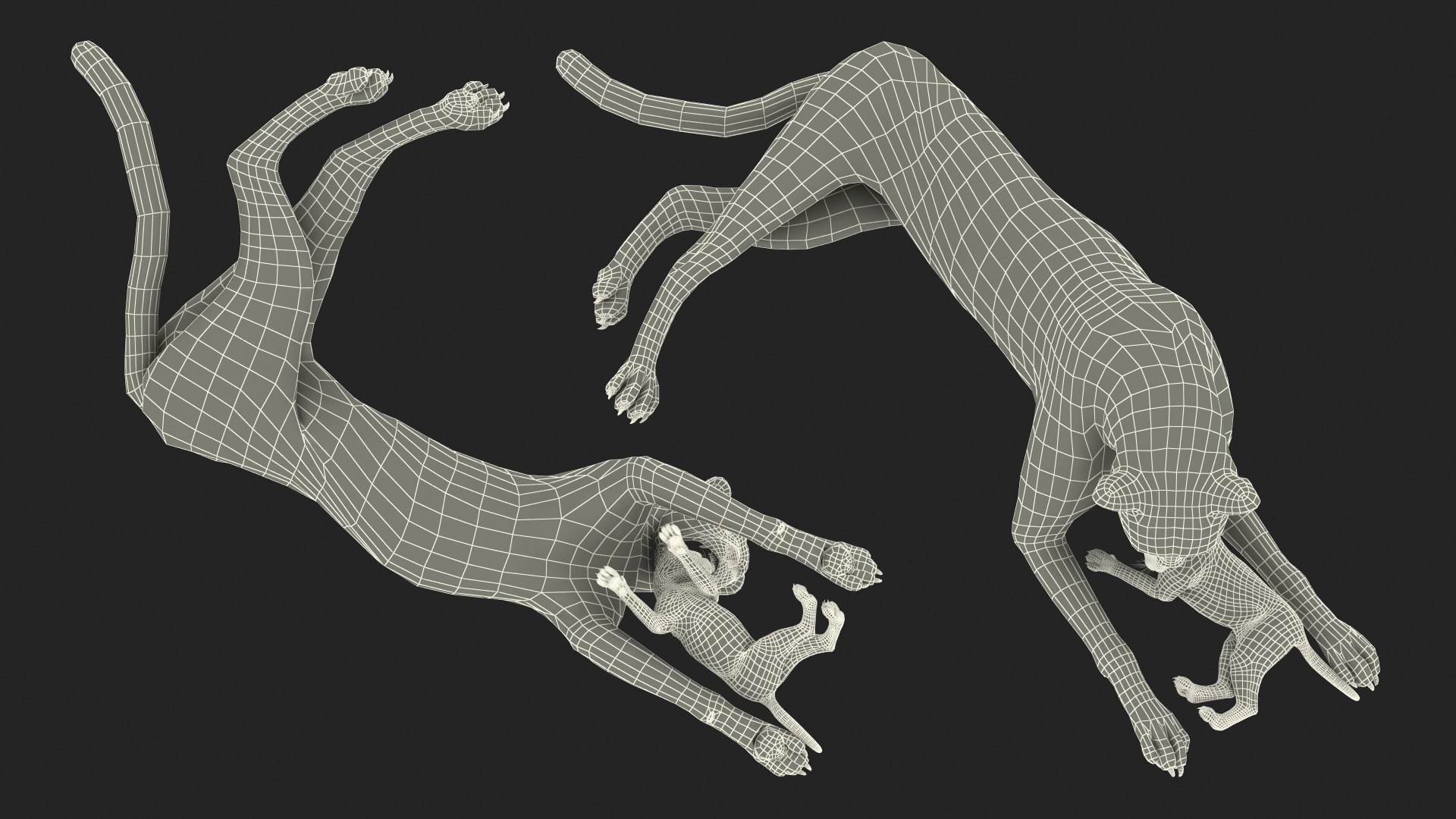 3D model Cheetah Mother and Cub Lying Down https://p.turbosquid.com/ts-thumb/aX/W0xgMS/2a/cheetah_mother_and_cub_lying_down_026/jpg/1741512099/1920x1080/fit_q87/9a3266e689b462991a3cfae0b2dd4d21ba870bdf/cheetah_mother_and_cub_lying_down_026.jpg