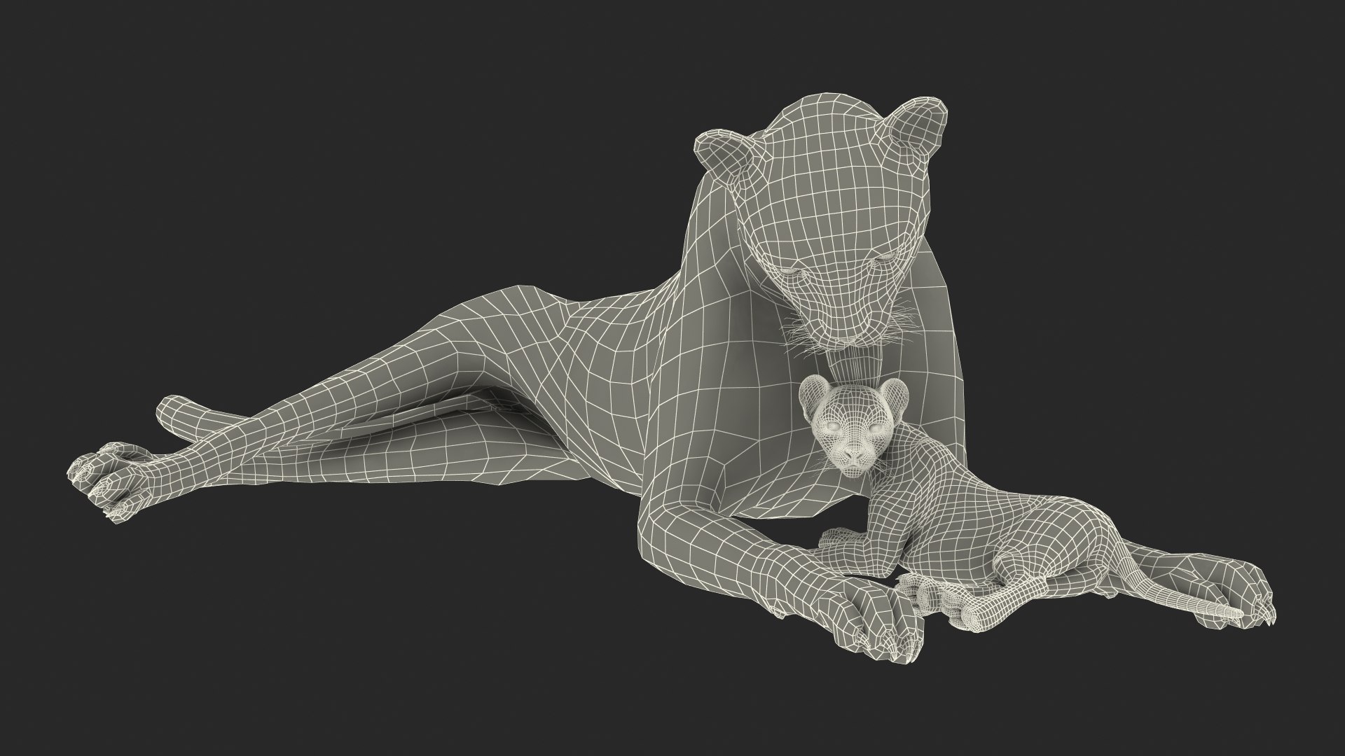 3D model Cheetah Mother and Cub Lying Down https://p.turbosquid.com/ts-thumb/aX/W0xgMS/Ew/cheetah_mother_and_cub_lying_down_024/jpg/1741512091/1920x1080/fit_q87/6c7c046185085eb187a79b54df47d9a125c2605d/cheetah_mother_and_cub_lying_down_024.jpg