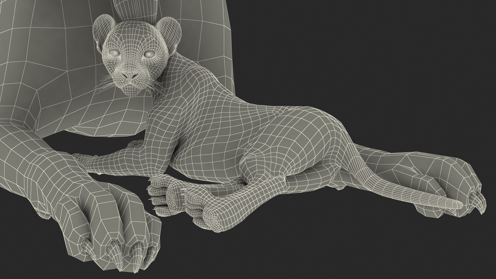 3D model Cheetah Mother and Cub Lying Down https://p.turbosquid.com/ts-thumb/aX/W0xgMS/Ew/cheetah_mother_and_cub_lying_down_029/jpg/1741512111/1920x1080/fit_q87/c30759b0a35e2c775b1ab0dfa22a3d9313889120/cheetah_mother_and_cub_lying_down_029.jpg