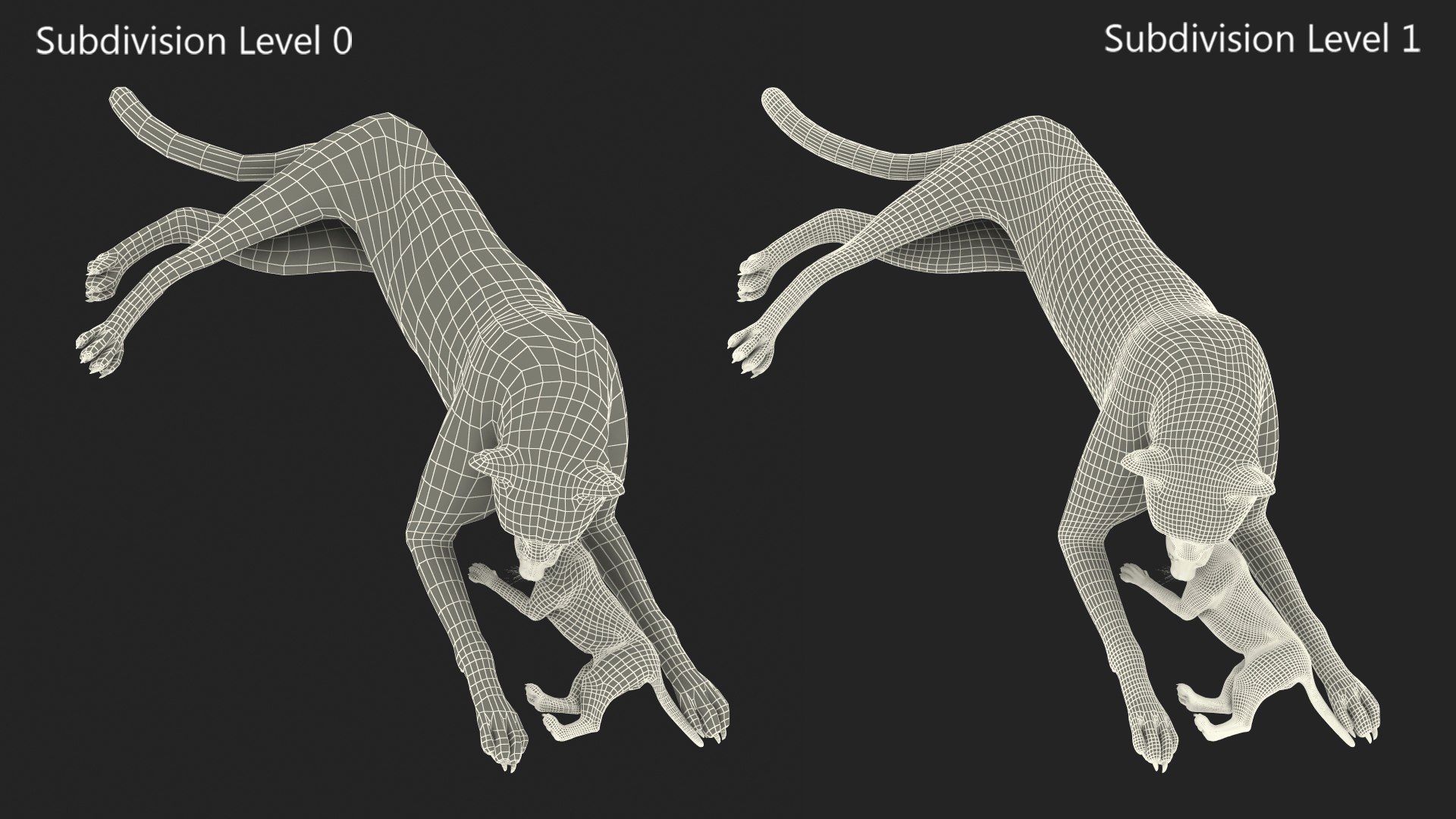 3D model Cheetah Mother and Cub Lying Down https://p.turbosquid.com/ts-thumb/aX/W0xgMS/UK/cheetah_mother_and_cub_lying_down_020/jpg/1741512075/1920x1080/fit_q87/2ae4cc51fec28739889d287ed30b602e3aa8f5b7/cheetah_mother_and_cub_lying_down_020.jpg