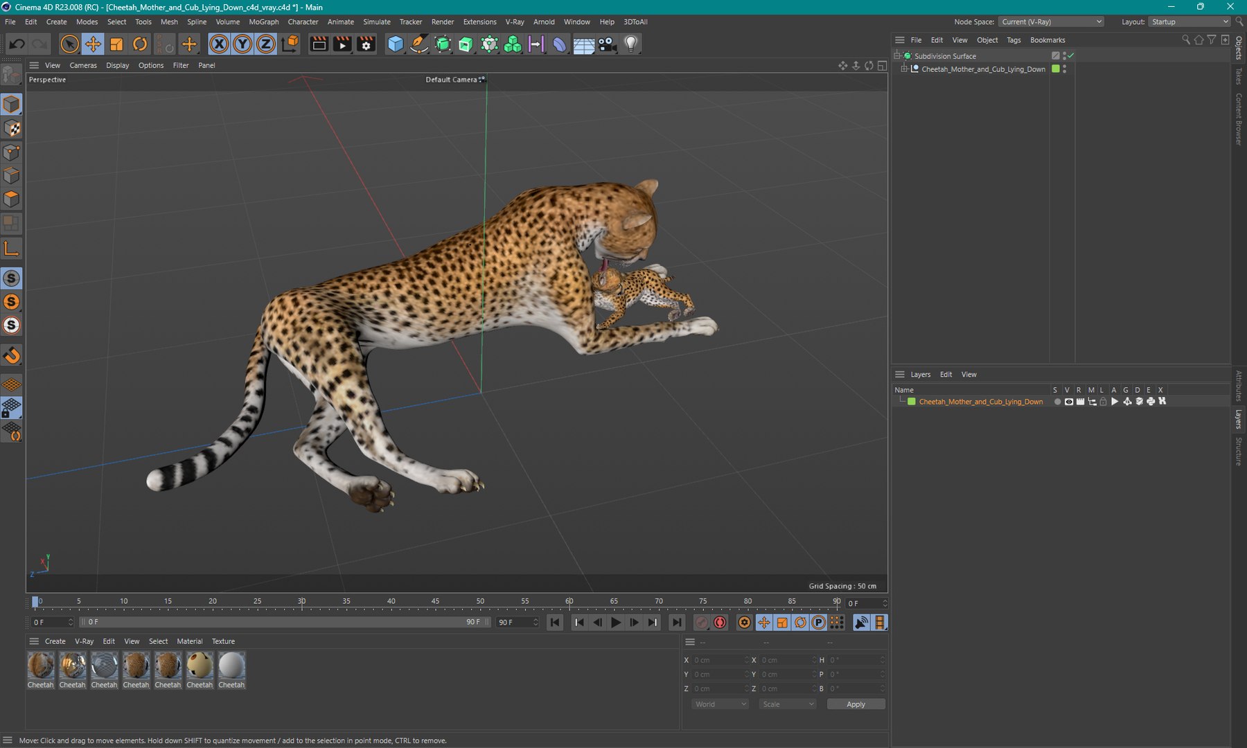 3D model Cheetah Mother and Cub Lying Down https://p.turbosquid.com/ts-thumb/aX/W0xgMS/Wb/cheetah_mother_and_cub_lying_down_1001/jpg/1741512115/1920x1080/fit_q87/b22baea462dc7ec54700dc02a8985487de056916/cheetah_mother_and_cub_lying_down_1001.jpg