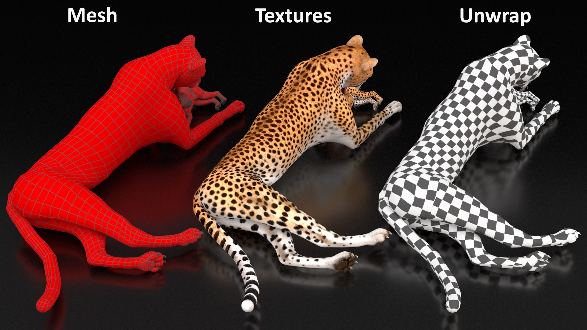 3D model Cheetah Mother and Cub Lying Down https://p.turbosquid.com/ts-thumb/aX/W0xgMS/bu/cheetah_mother_and_cub_lying_down_019/jpg/1741512071/1920x1080/fit_q87/0f3dc4695ce1241869b02a74a946b2dff7e451c5/cheetah_mother_and_cub_lying_down_019.jpg