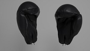 3D boxing gym equipement