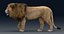 León aparejado FUR 1