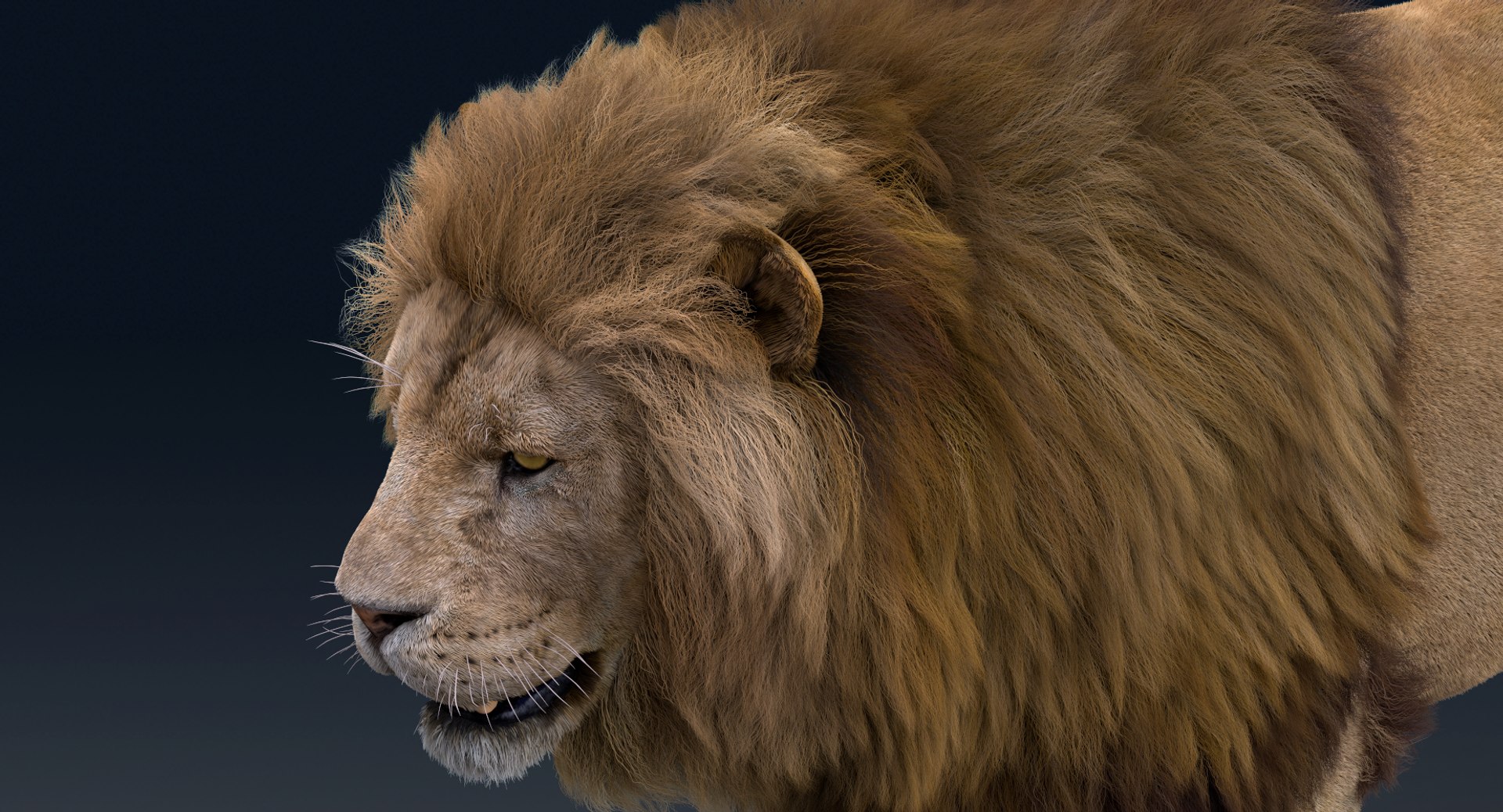 Lion Rigged FUR 1 3D https://p.turbosquid.com/ts-thumb/aX/ghtMRw/Df/k011_1/png/1626510421/1920x1080/fit_q87/1f8f41a3b87feb589101ea719f5284f1c07f0671/k011_1.jpg