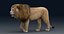 León aparejado FUR 1