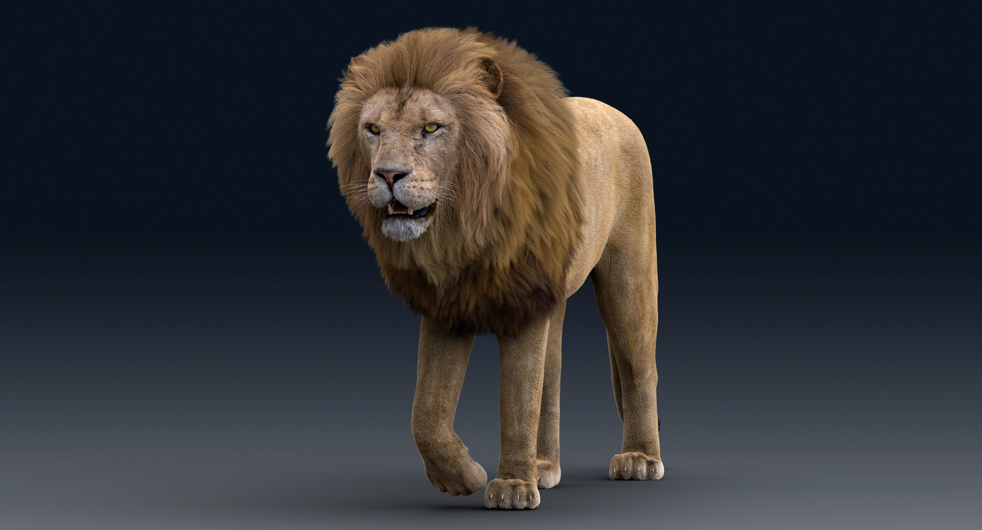 Lion Rigged FUR 1 3D https://p.turbosquid.com/ts-thumb/aX/ghtMRw/PF/k002/png/1626510129/1920x1080/fit_q87/781af7ce60422c9d88d0358d770e041f97237bc0/k002.jpg