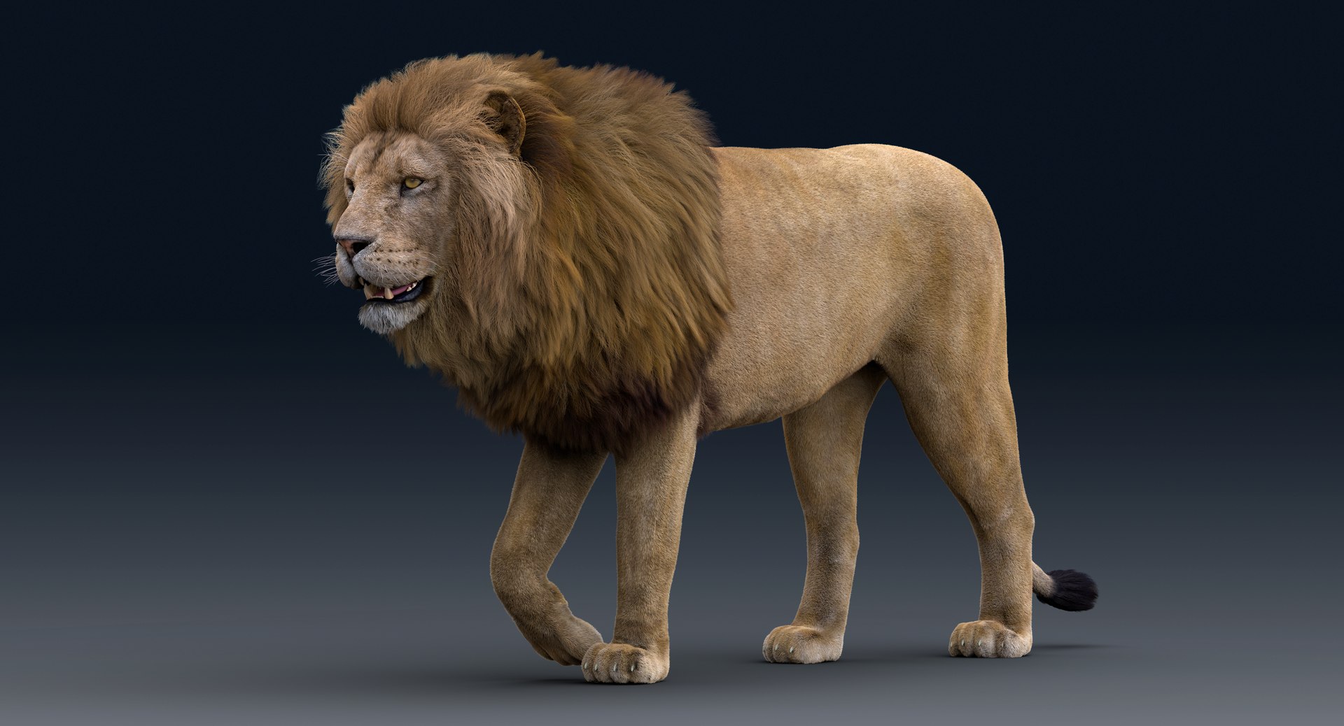 Lion Rigged FUR 1 3D https://p.turbosquid.com/ts-thumb/aX/ghtMRw/Yn/b001/png/1626509758/1920x1080/fit_q87/fcfc7d05d073ae0b1448f720c952589f3259d383/b001.jpg