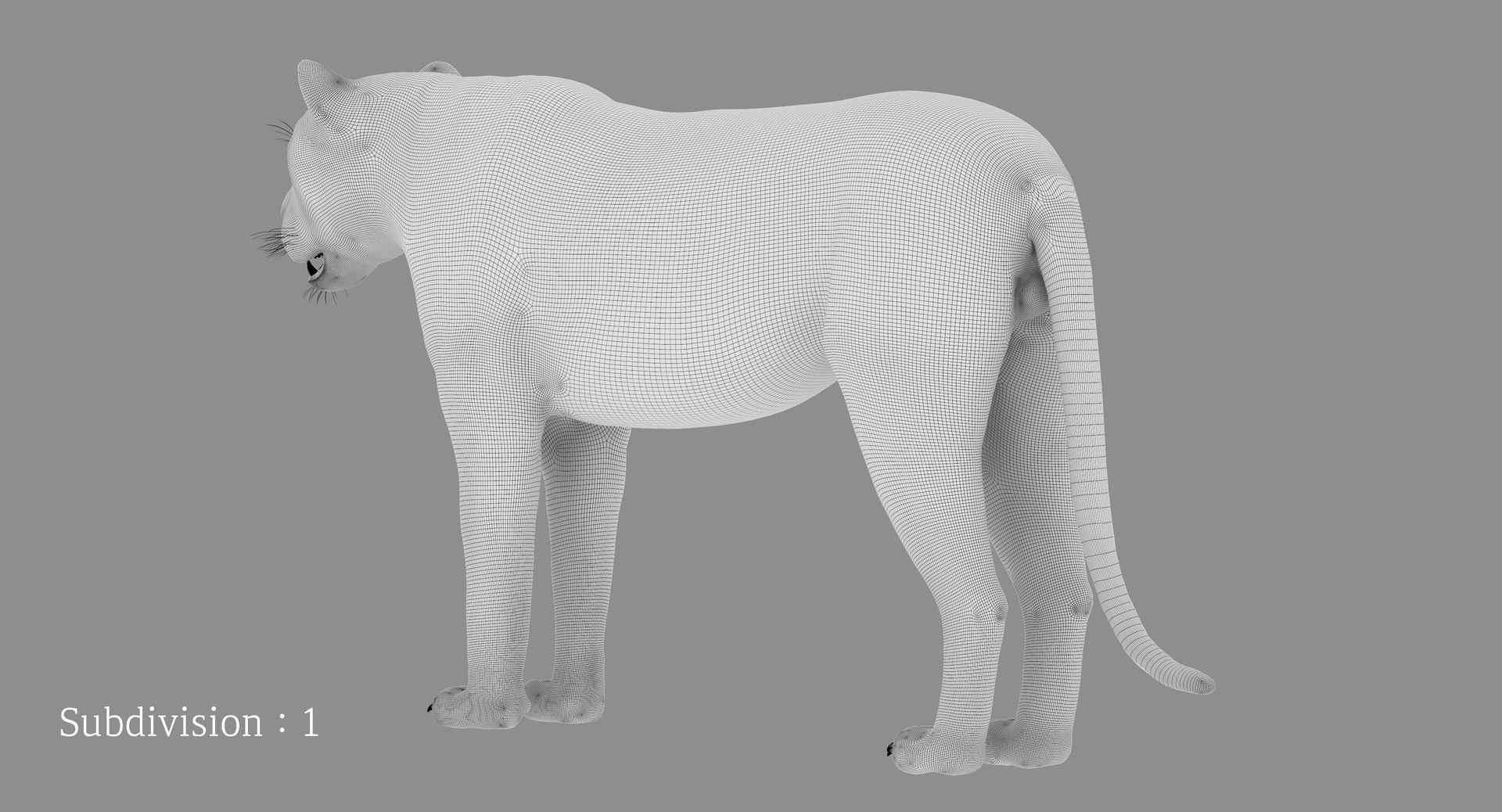 Lion Rigged FUR 1 3D https://p.turbosquid.com/ts-thumb/aX/ghtMRw/hD/oc021/png/1626510569/1920x1080/fit_q87/e1b776a0af6167a62104c3b31f6636d38ba61a17/oc021.jpg