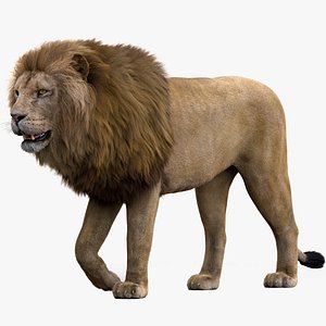 Lion Rigged FUR 1