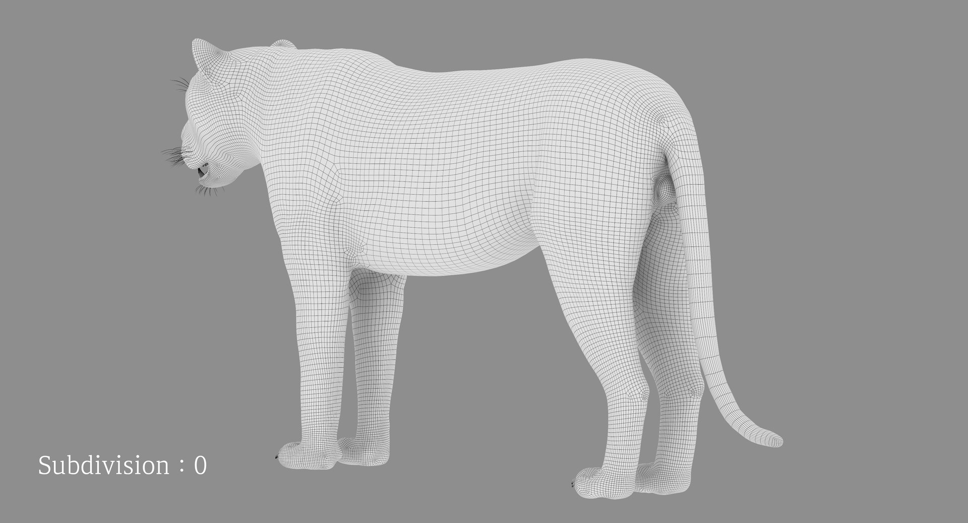 Lion Rigged FUR 1 3D https://p.turbosquid.com/ts-thumb/aX/ghtMRw/xE/oc020/png/1626510568/1920x1080/fit_q87/30798aa1a39986d760f14add818c1b173e559d09/oc020.jpg