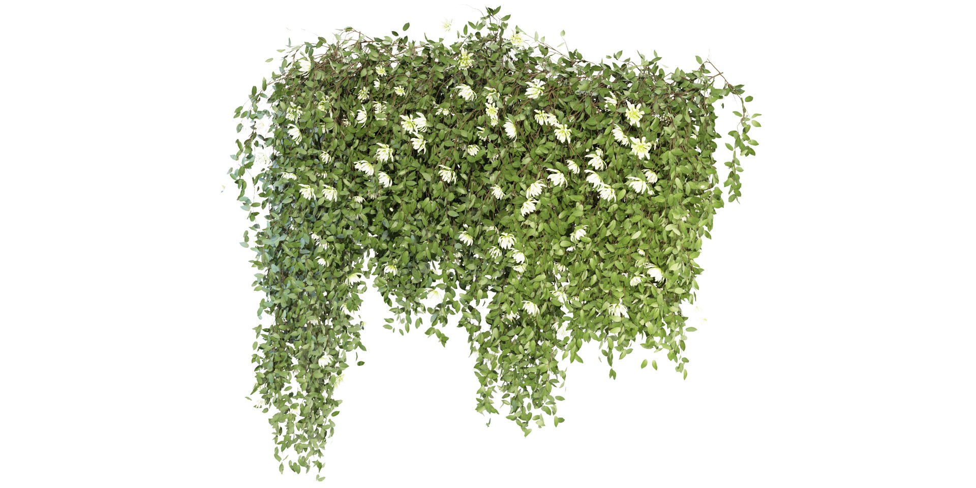 Collection plant vol 92 - blender model model https://p.turbosquid.com/ts-thumb/aX/m8wtbW/5L/4/jpg/1686827803/1920x1080/fit_q87/60f2a3df86b6ff7bb7f5a88768ed36fa0b66afce/4.jpg
