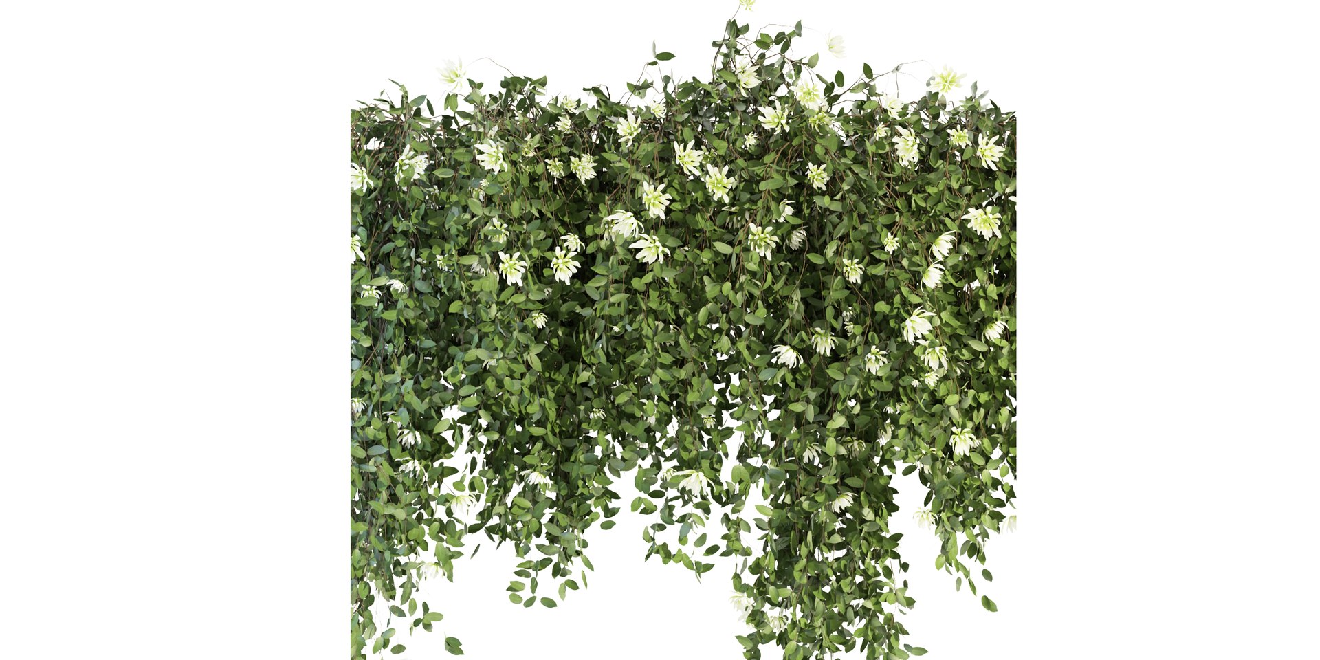 Collection plant vol 92 - blender model model https://p.turbosquid.com/ts-thumb/aX/m8wtbW/zx/2/jpg/1686827632/1920x1080/fit_q87/24a65de0d9cbcceb1e341e36200982c3f4877092/2.jpg