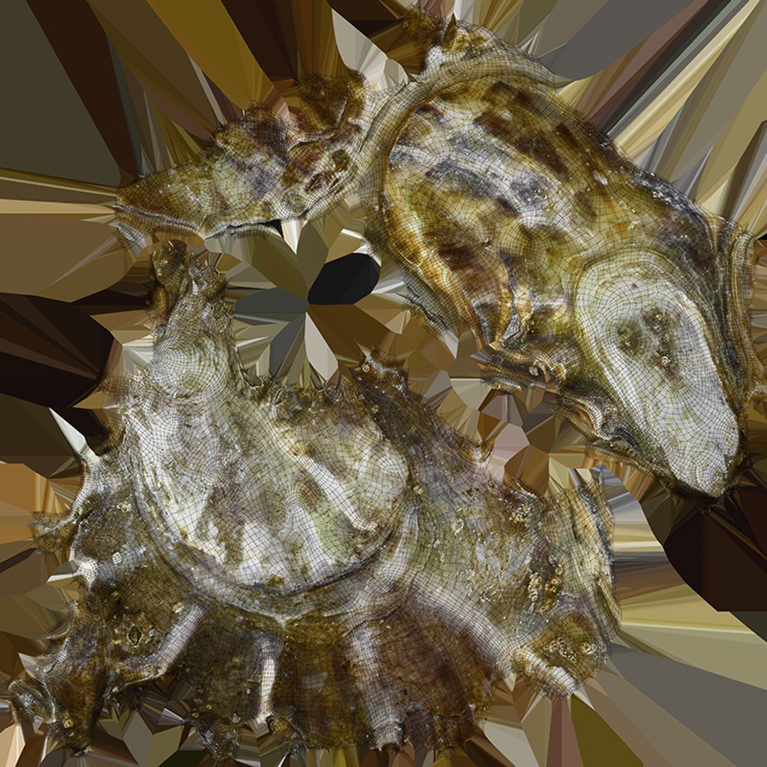 Oysters Collection 3D https://p.turbosquid.com/ts-thumb/aY/F3jmDG/6M/oyster03_x0004/png/1751027098/1920x1080/fit_q87/653d485f167e6a6080837ef515bbe92b679158d3/oyster03_x0004.jpg