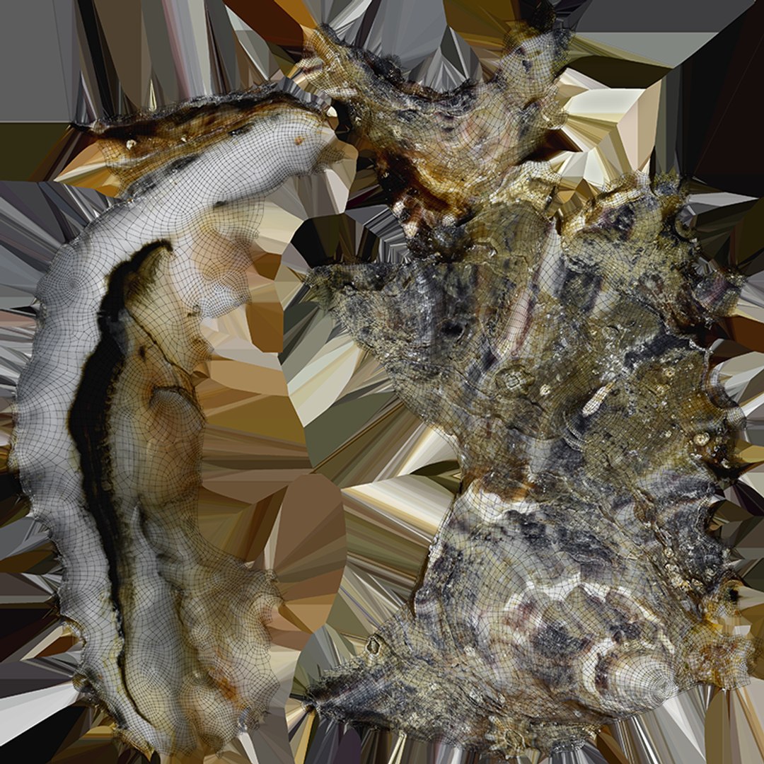 Oysters Collection 3D https://p.turbosquid.com/ts-thumb/aY/F3jmDG/bC/b_halfoyster02_c0004/png/1751027165/1920x1080/fit_q87/295e4e31fc9c34e864f61fc718214b5ae2a5f679/b_halfoyster02_c0004.jpg