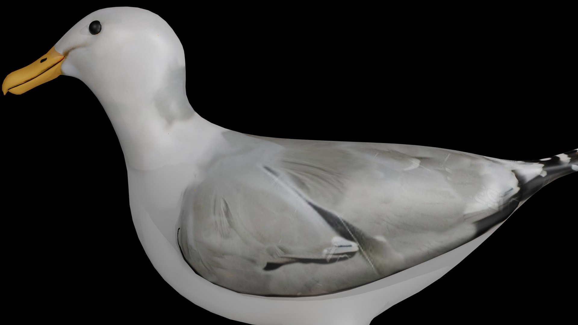 3D jungle rigged https://p.turbosquid.com/ts-thumb/aY/G2ZF8l/0SxXkmOe/seagul5/jpg/1606572888/1920x1080/fit_q87/1d649752e756953b85f4e194e6a456a2bd47f1c3/seagul5.jpg