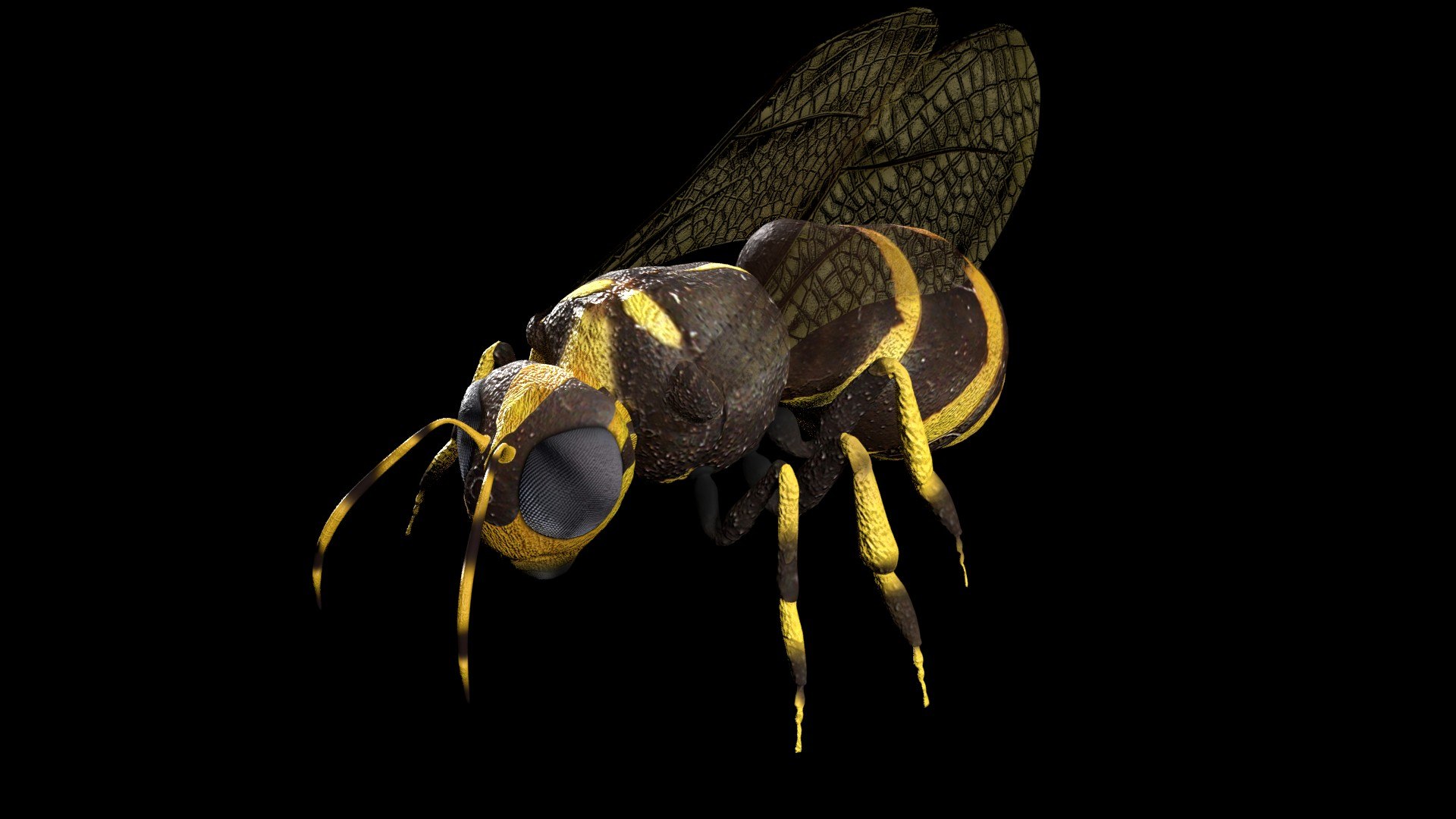 3D jungle rigged https://p.turbosquid.com/ts-thumb/aY/G2ZF8l/0s6i1dUf/c1/jpg/1606572886/1920x1080/fit_q87/b883fdd9c9bec929db0e92f9d3dd404274a4dd58/c1.jpg