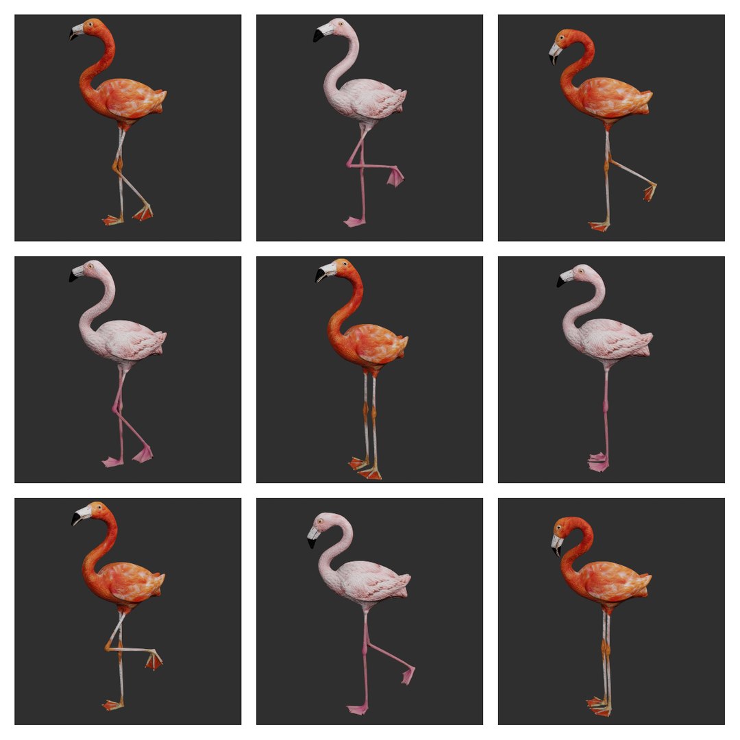 3D jungle rigged https://p.turbosquid.com/ts-thumb/aY/G2ZF8l/8JVY9ESt/flaming1/jpg/1606572887/1920x1080/fit_q87/a431a01c1d56f585a7b98f894882d33acb5bfb5e/flaming1.jpg