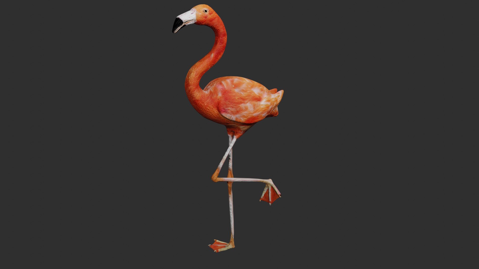 3D jungle rigged https://p.turbosquid.com/ts-thumb/aY/G2ZF8l/9qssdv74/flaming5/jpg/1606572887/1920x1080/fit_q87/b4eb0b3cdf25fd230581d6744908fd6ce34ddef2/flaming5.jpg