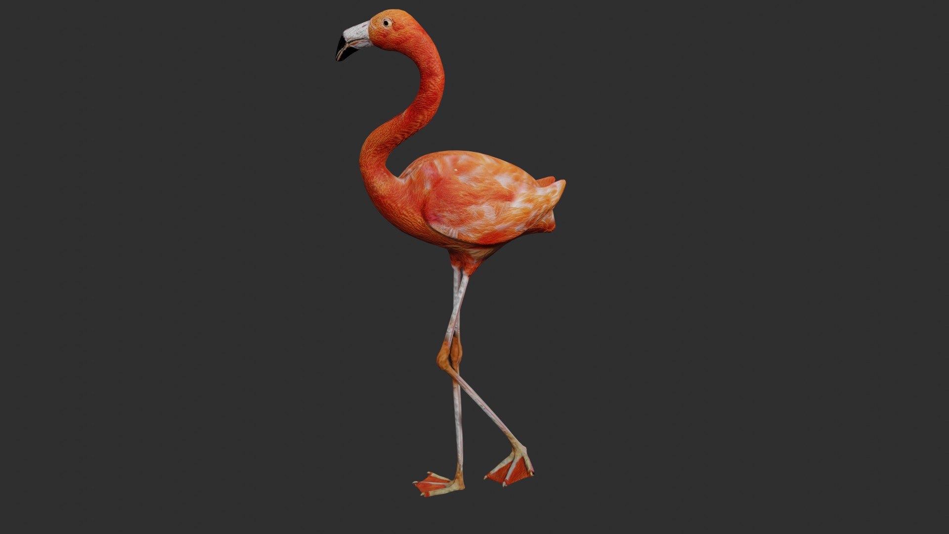 3D jungle rigged https://p.turbosquid.com/ts-thumb/aY/G2ZF8l/BqUmFuSs/flaming6/jpg/1606572887/1920x1080/fit_q87/85401688a77b88b9eaecd2a2ffe1aaaf98539a53/flaming6.jpg