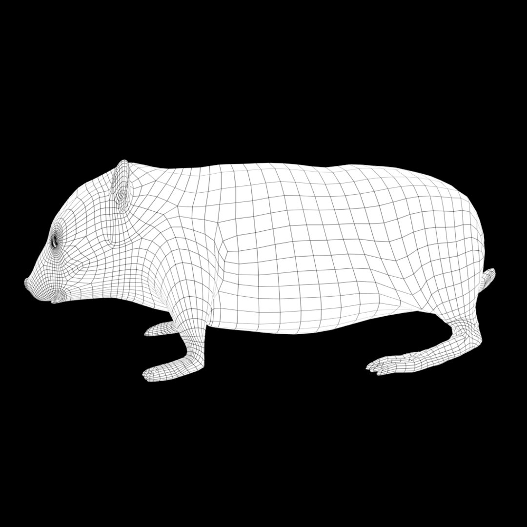 3D jungle rigged https://p.turbosquid.com/ts-thumb/aY/G2ZF8l/Db8FwFn1/y6/jpg/1606572889/1920x1080/fit_q87/108594e3c9535456ce4b3dfaa4ecf0870b4f40e4/y6.jpg