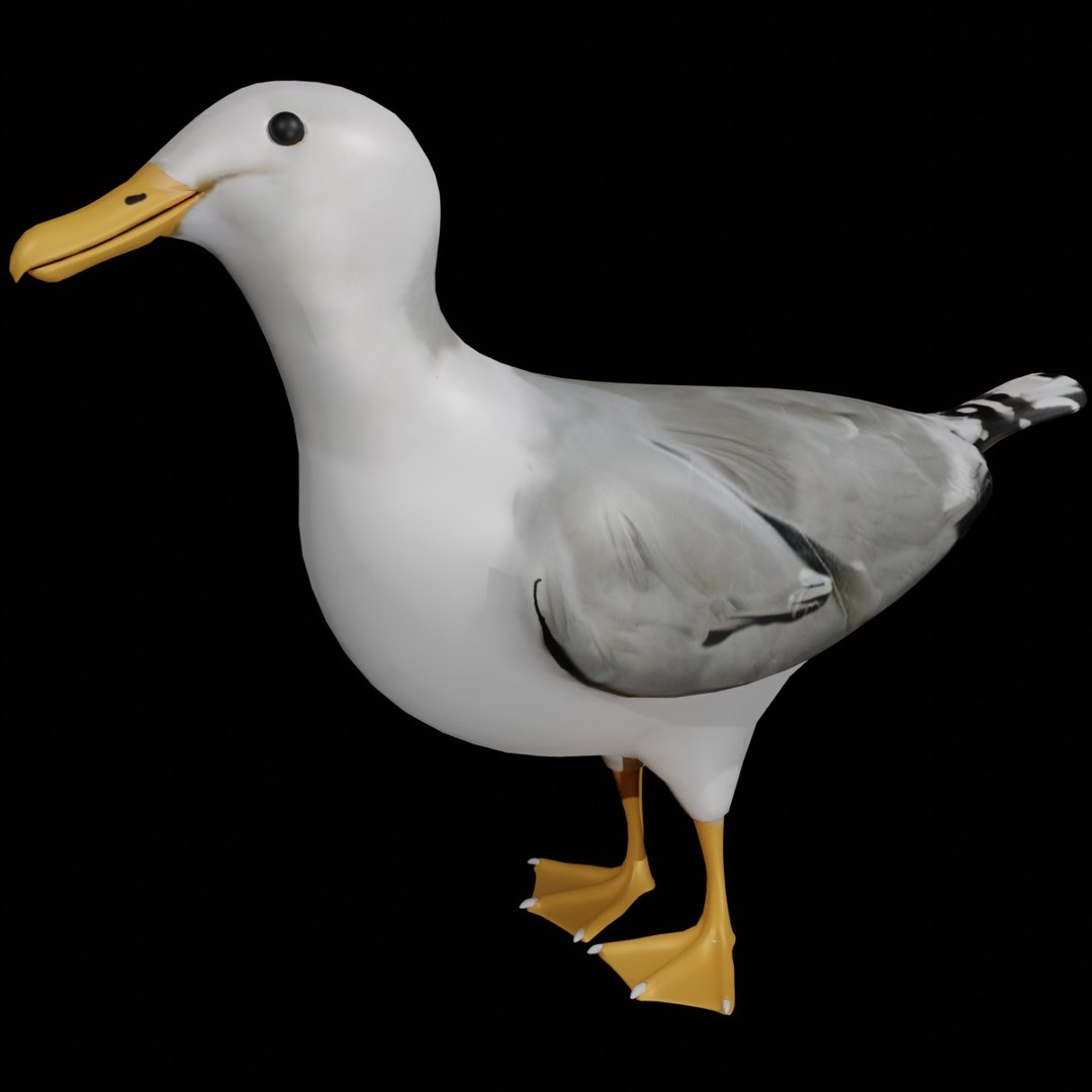 3D jungle rigged https://p.turbosquid.com/ts-thumb/aY/G2ZF8l/FlsXMtnv/seagul1/jpg/1606572888/1920x1080/fit_q87/6f7e73a844fb7e6f5ae52060943333714d20d890/seagul1.jpg