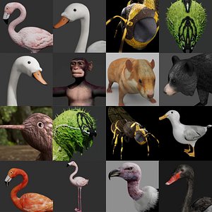 Jungle Collection low poly rigged
