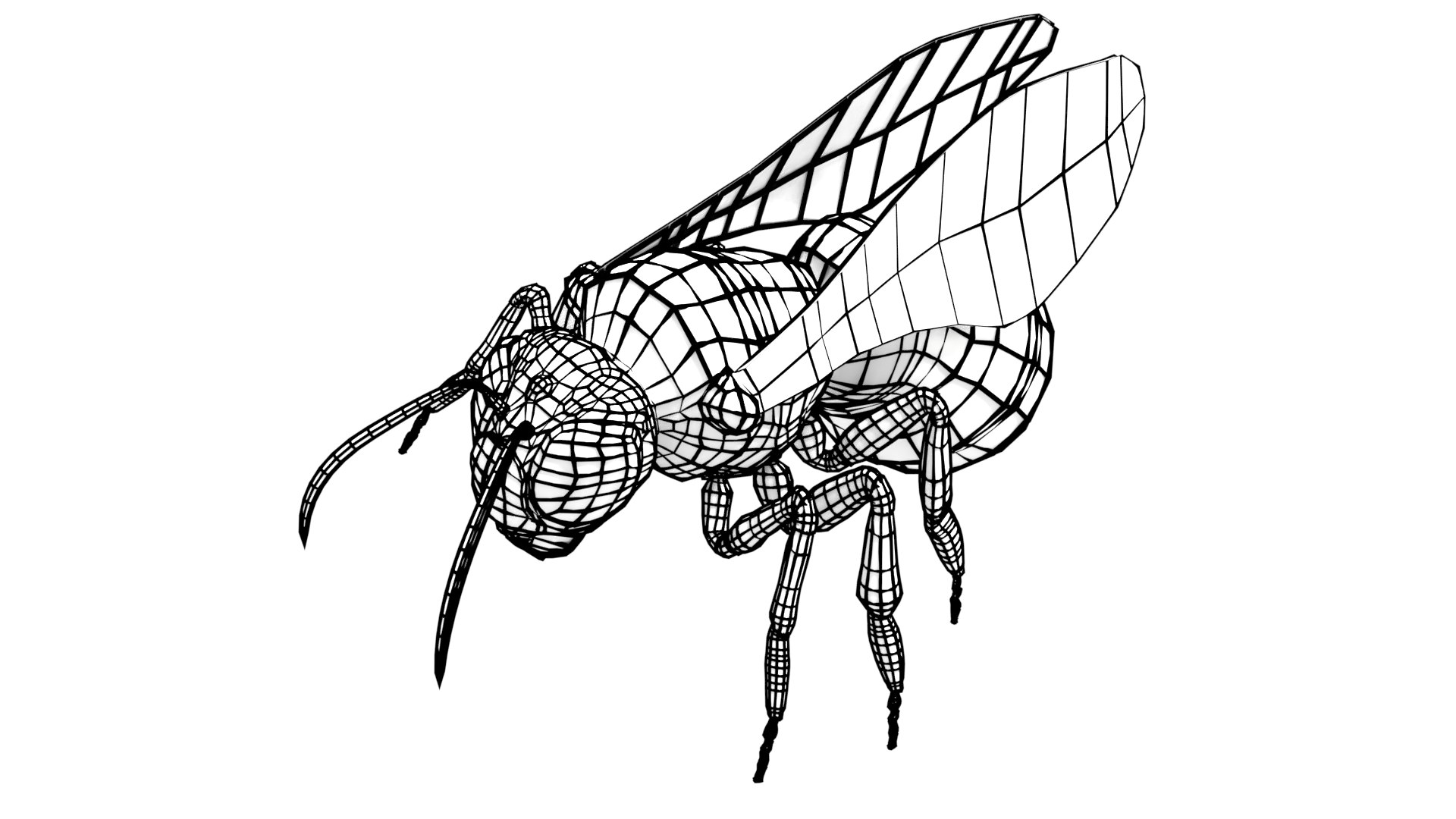 3D jungle rigged https://p.turbosquid.com/ts-thumb/aY/G2ZF8l/QYQoC8RE/c6/png/1606572886/1920x1080/fit_q87/061c1350549c014649606760825ee4a1ae7dc4c2/c6.jpg