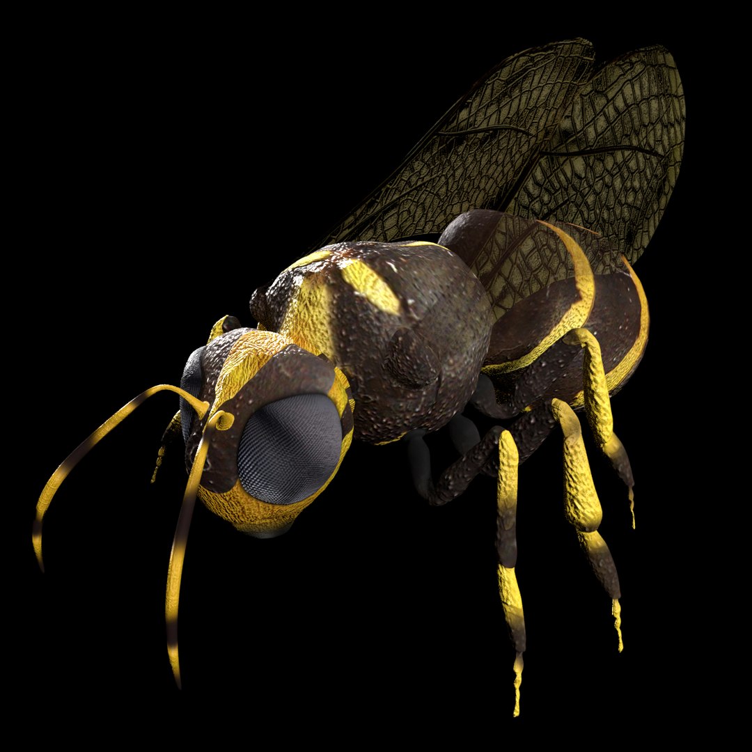 3D jungle rigged https://p.turbosquid.com/ts-thumb/aY/G2ZF8l/aSmTtwgT/c1/png/1606572886/1920x1080/fit_q87/1a345550fe6f19fee05f8fc0603e5ee0b2de67b1/c1.jpg