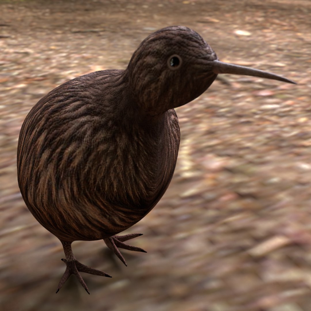 3D jungle rigged https://p.turbosquid.com/ts-thumb/aY/G2ZF8l/lJ5MHhbv/y2/png/1606572888/1920x1080/fit_q87/ec4731608617c30c281ad814ec1d8b6a6e33f0fd/y2.jpg