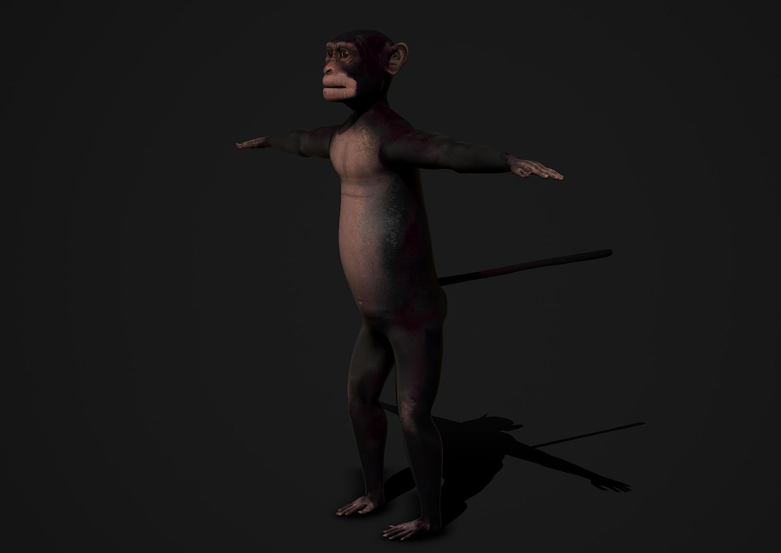 3D jungle rigged https://p.turbosquid.com/ts-thumb/aY/G2ZF8l/pQWrrctw/monkey5/jpg/1606572887/1920x1080/fit_q87/ae55858d6900df114fa7ac782ee426f73ecf1210/monkey5.jpg