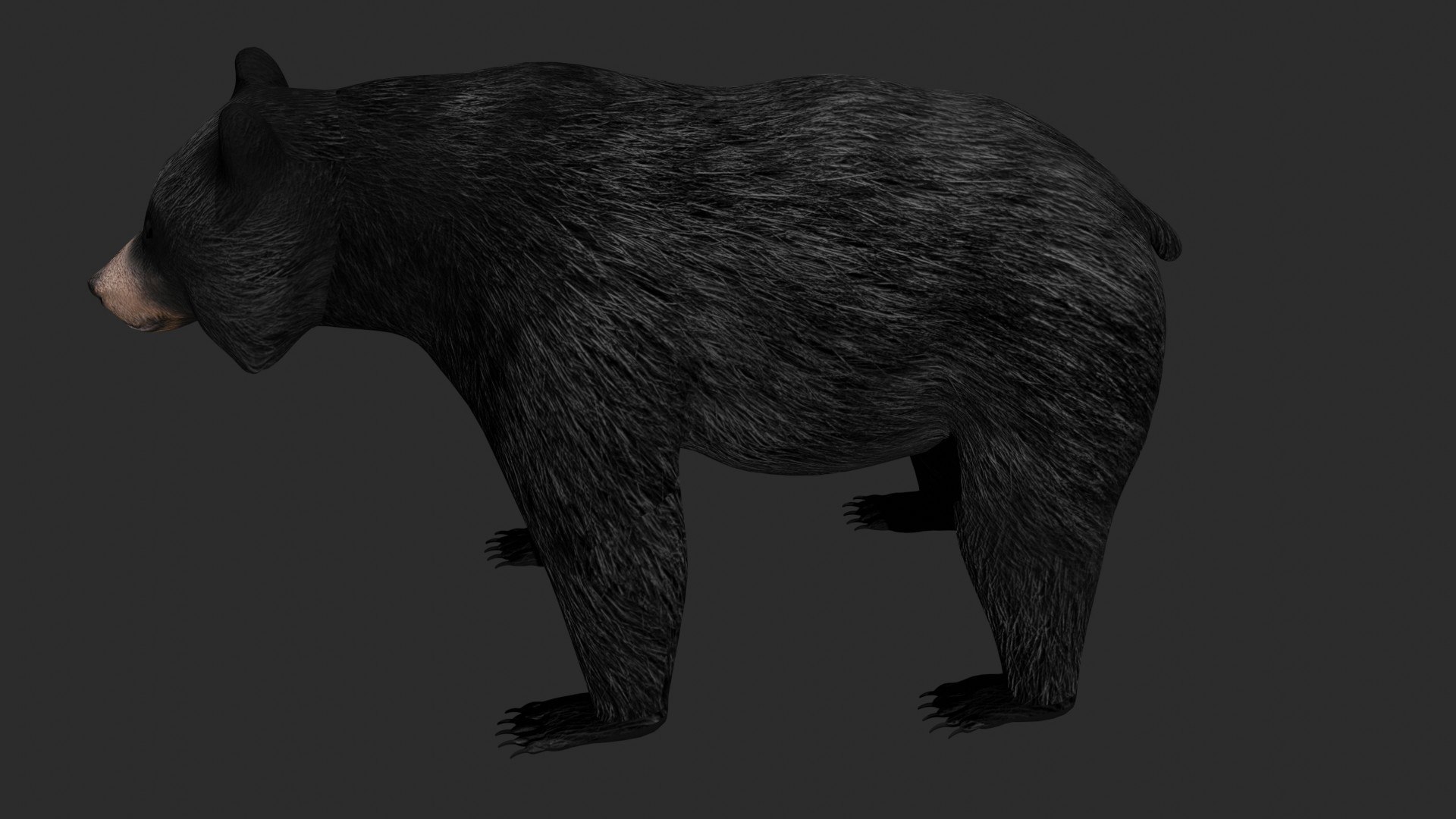 3D jungle rigged https://p.turbosquid.com/ts-thumb/aY/G2ZF8l/sMx4zGyZ/w6/jpg/1606572888/1920x1080/fit_q87/5502f6fe26a2cf4c1a7ea5136e9f4fb2c3b19fcf/w6.jpg